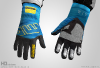 gloves201013