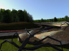 Birmingham-spiders-